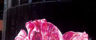 led屏為什么會流行起來？都有什么特點？