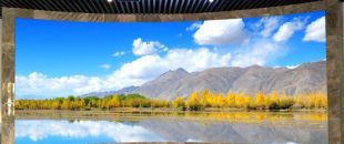 “海外客戶最關(guān)心的LED屏參數(shù):不是分辨率，而是這個..